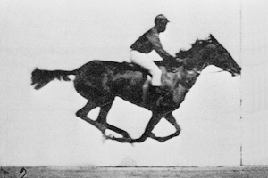 Sallie Gardner at a Gallop from 1878